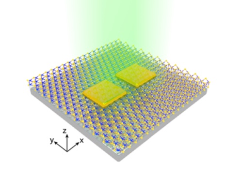 Plasmon-induced thermal tuning of few-exciton strong coupling in 2D atomic crystals