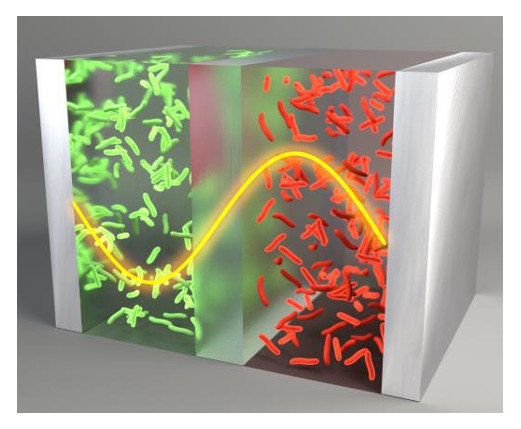 Changing Material Properties with Polaritons