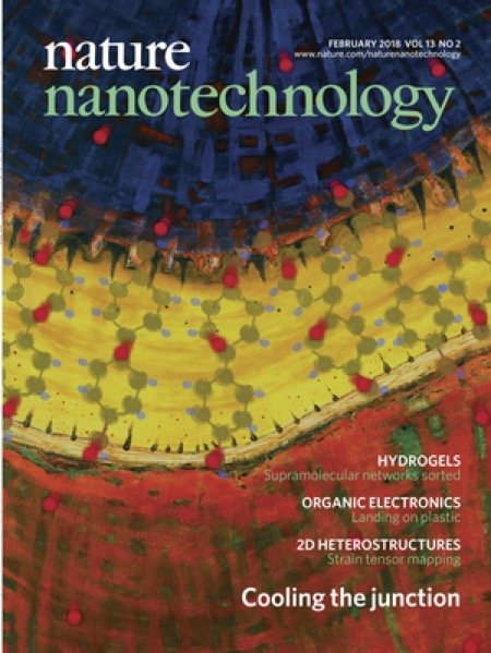 cover_Nature_Nano
